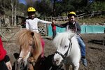 La BECH, mona solidaria para niños de Cáritas y "Pony Park" 